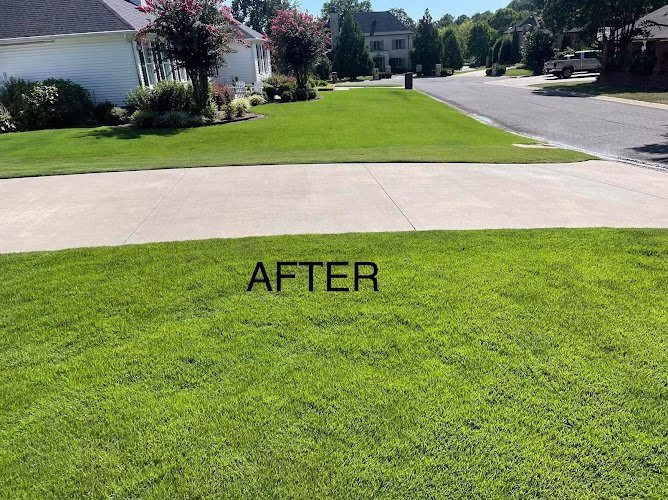 176523 altans pressure washing conway ar