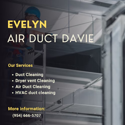 177130 evelyn air duct davie