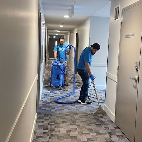 177341 alpa cleaning services llc