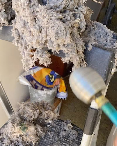 177846 youngs hvac llc 1