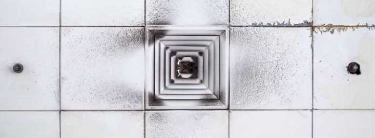 178215 royal secaucus air duct cleaners 768x284