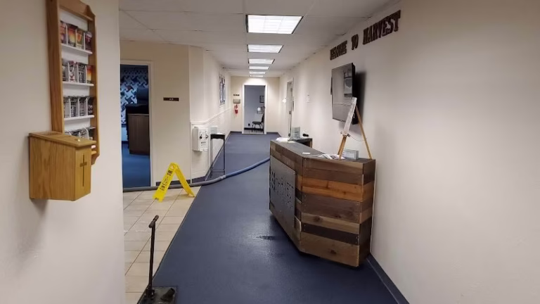 178786 doiggs restoration cleaning 768x432