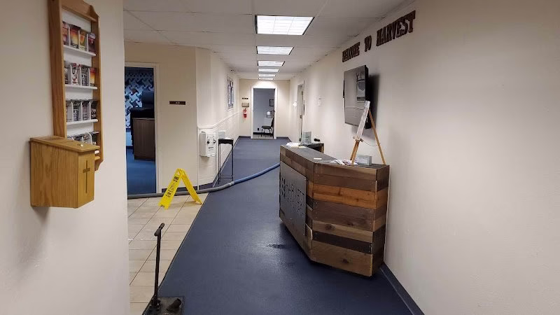 178786 doiggs restoration cleaning