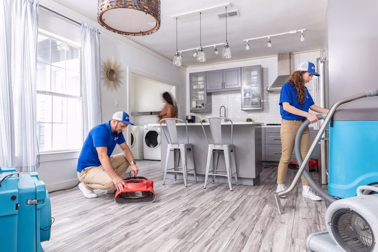 178815 regent restoration