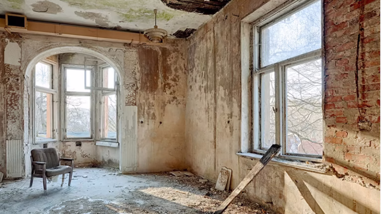 178853 disaster services llc 768x432