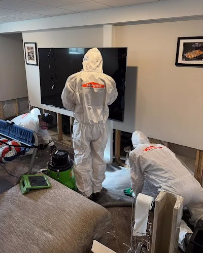 178868 servpro of se monroe county