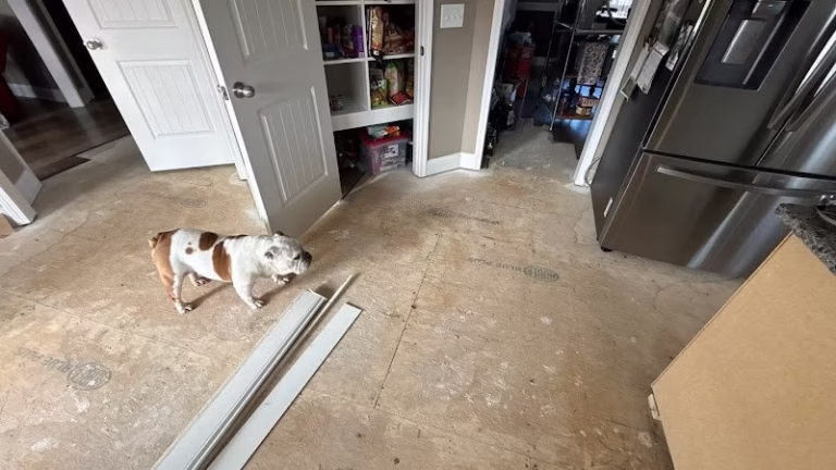 178972 water damage pros tn 768x432