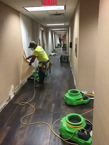 179027 action restoration