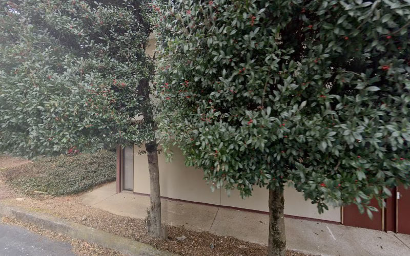 179033 bluegreen pros mold removal 1