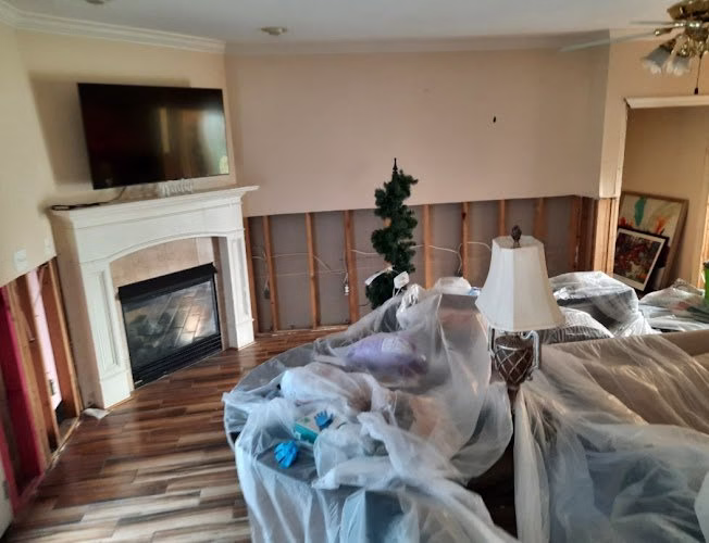 179120 jlm brothers 8211 mold removal services