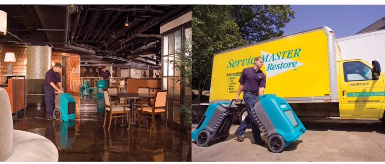 179366 servicemaster dqs 768x328