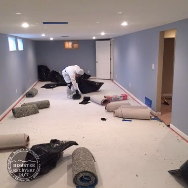 179497 all pro restoration