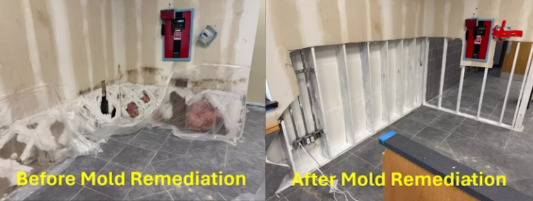 179640 1 800 water damage of north dallas 768x290