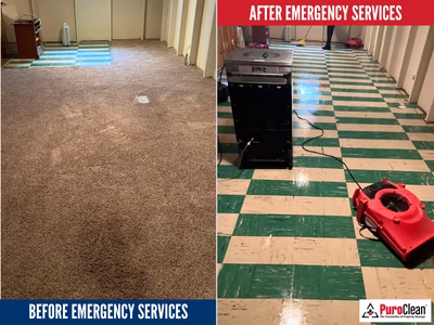 179648 puroclean of coppell