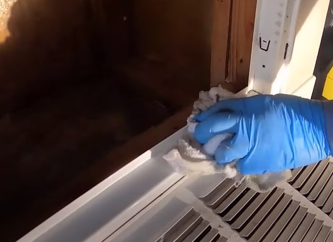 179985 va beach hero mold removal