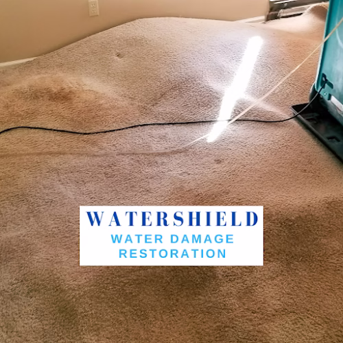 180080 watershield