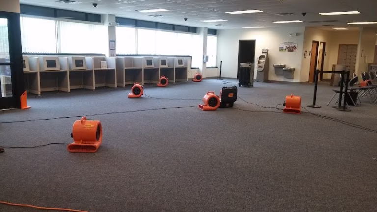 180310 the restoration doctor 768x432