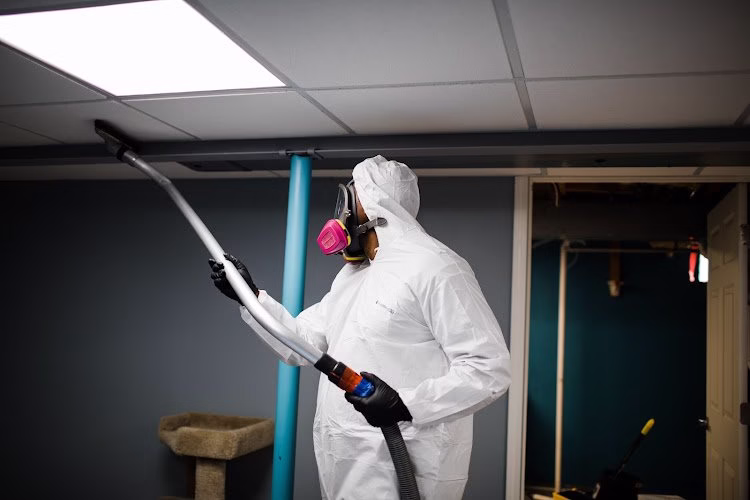 180320 pristine clean and restoration