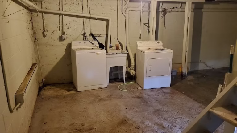 180394 wet eliminator water damage 768x432