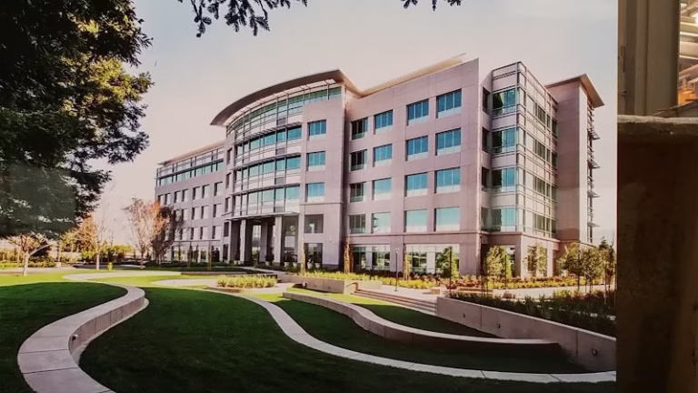 184294 walters wolf 3 768x432