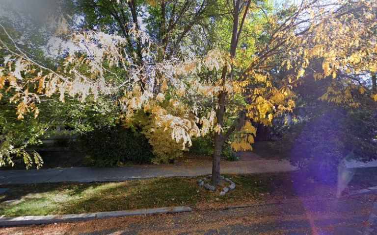 185209 russel fogel inc 768x480