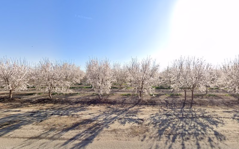 185994 hydrogen technologies inc 1