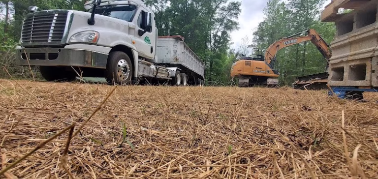 187294 d.delaigle 768x364