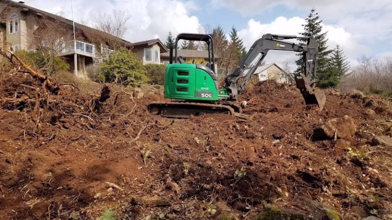 188142 dans excavation land clearing 768x432