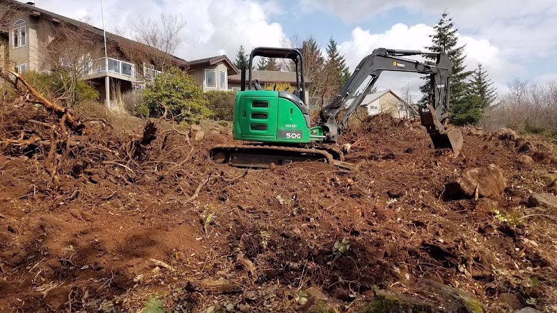 188142 dans excavation land clearing