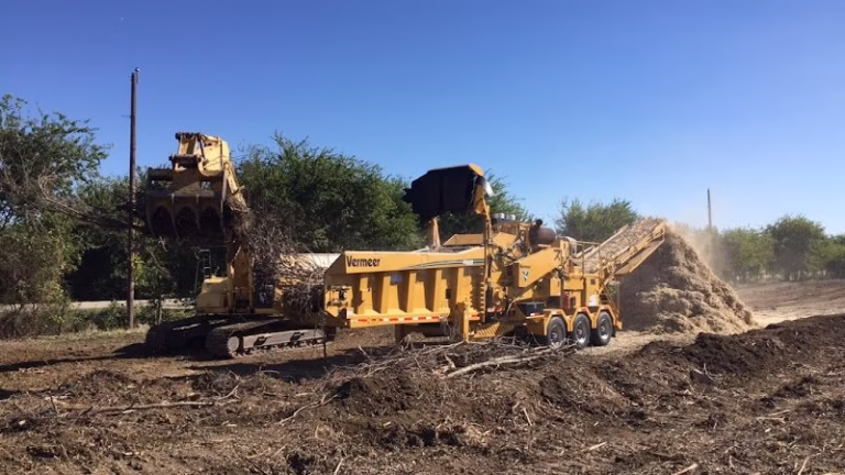 188277 rose contracting 768x432