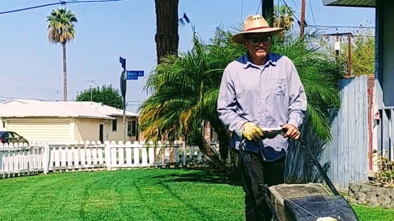 188975 javis lawn and garden 768x432