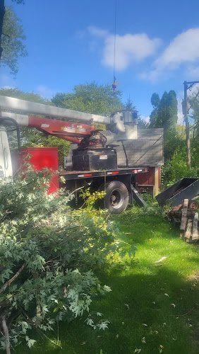 189042 juan lopez tree service