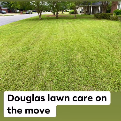 189054 douglas professional lawn care services