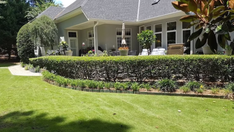 189071 btops landscaping inc 768x432