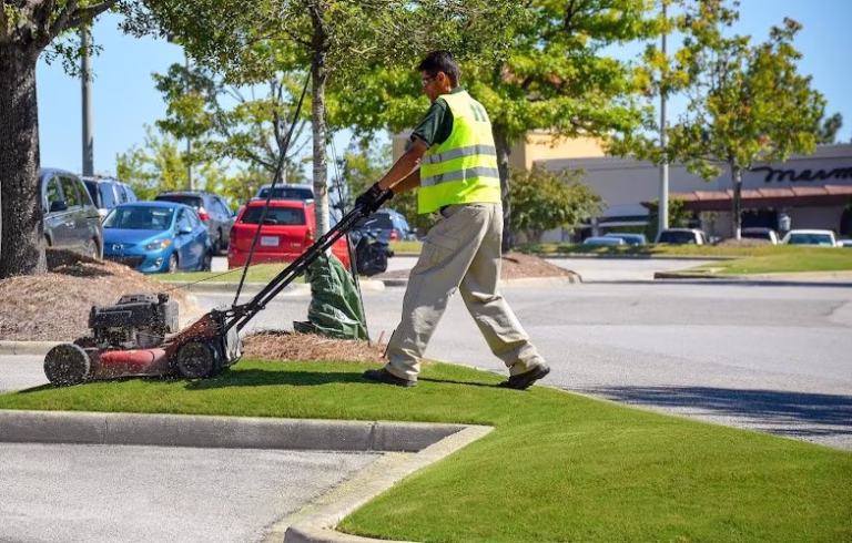 189092 landscape workshop 1 768x490