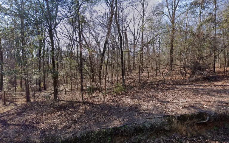 189108 bazzells lawn services 768x480