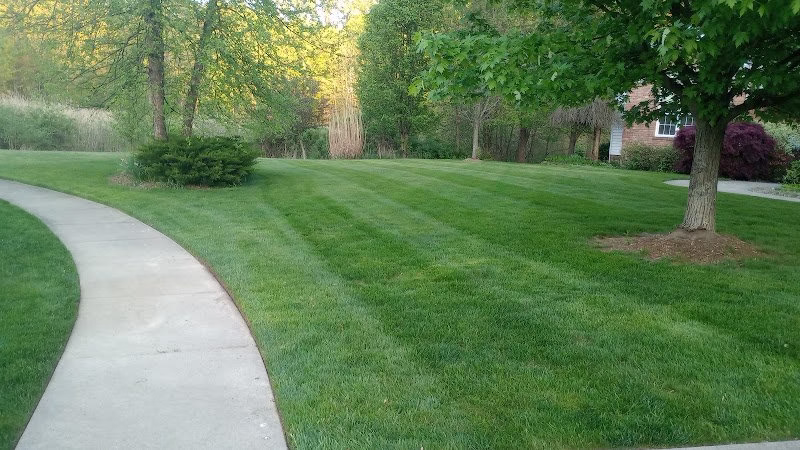 189313 first choice landscaping and lawn maintenance llc