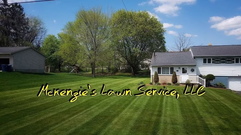 189334 mckenzies lawn service llc 768x432