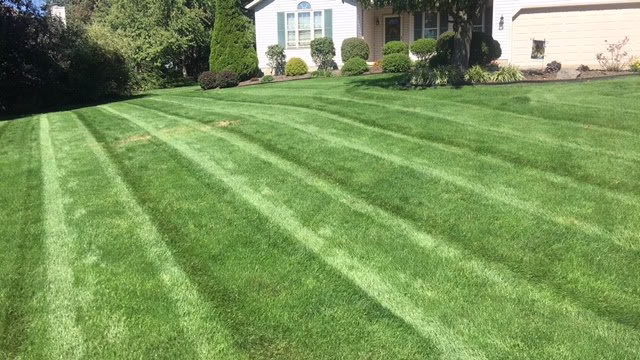 189352 t2 design lawn and landscape