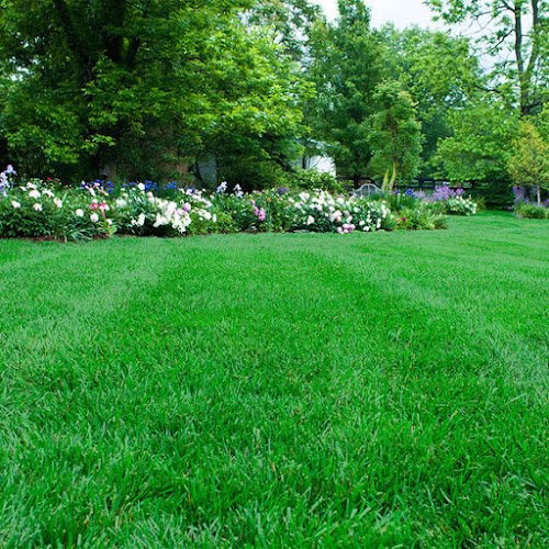 189421 southern green lawn care