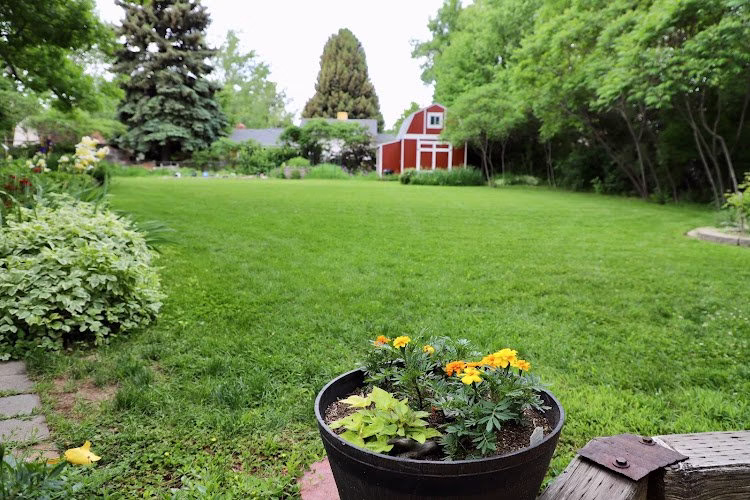 189534 clean air lawn care grand rapids