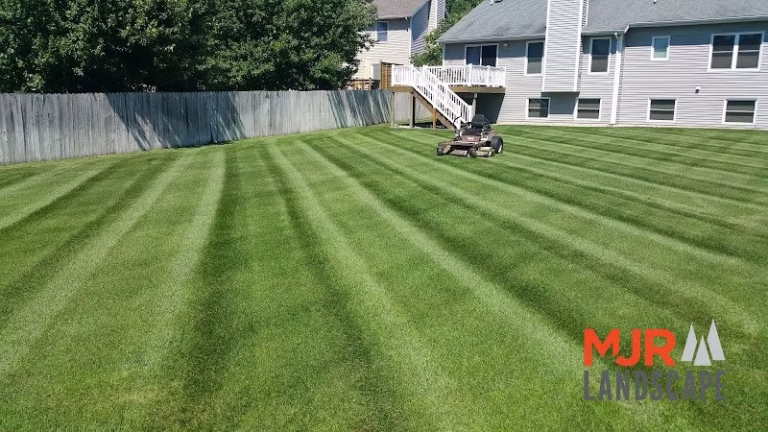 189541 mjr landscape 768x432