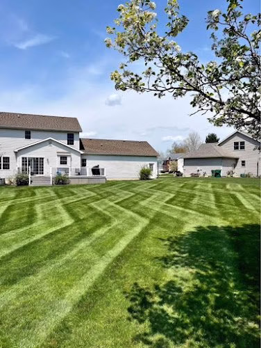 189603 mr bills land tree snow