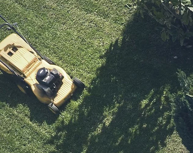 189671 j and k young lawn care