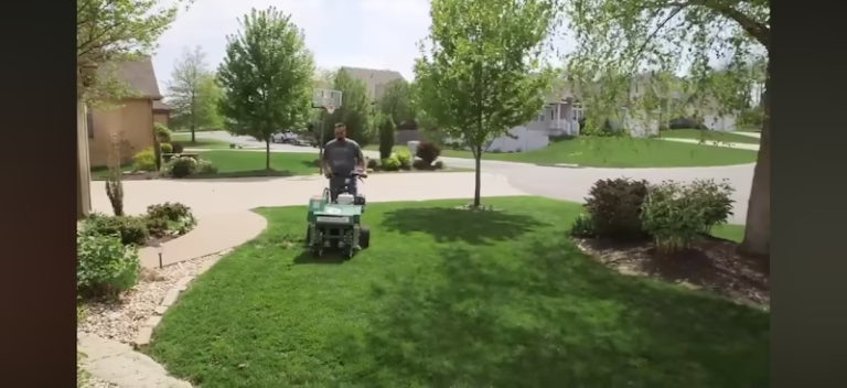 189694 top turf 768x352