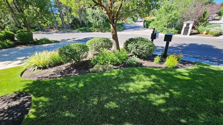 189747 level up lawn care 768x432