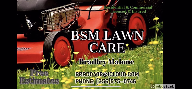 189806 bsm lawn tree service