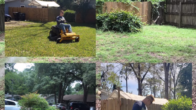 189853 yards and more tallahassee lawn care 768x432