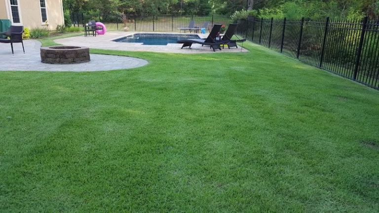 189881 second nature lawn care and landscaping 768x432