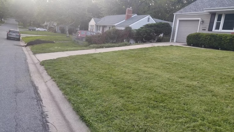 189956 oscar lawn care 768x432